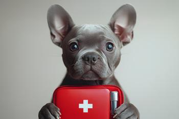 Primo soccorso veterinario Primo soccorso veterinario
