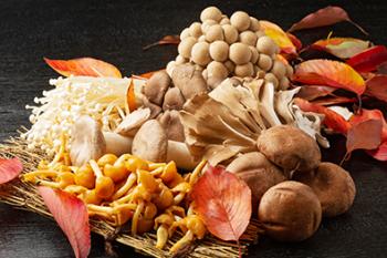 Funghi: cosa bisogna sapere! Funghi: cosa bisogna sapere!