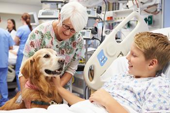 Vigilanza sull’impiego degli animali utilizzati nella pet therapy Vigilanza sull’impiego degli animali utilizzati nella pet therapy