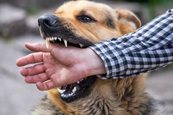 Prevenzione antirabbica e delle aggressioni provocate da animali Prevenzione antirabbica e delle aggressioni provocate da animali