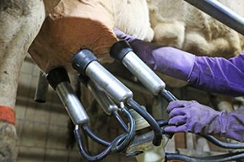 Produzione, controllo e trasformazione del latte a scopo alimentare in stalla Produzione, controllo e trasformazione del latte a scopo alimentare in stalla