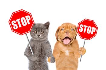 Contrasto al maltrattamento sugli animali e interventi a seguito di segnalazioni Contrasto al maltrattamento sugli animali e interventi a seguito di segnalazioni