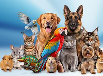 Animali d'affezione e igiene urbana