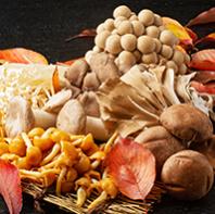 Funghi: cosa bisogna sapere!