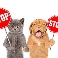 Contrasto al maltrattamento sugli animali e interventi a seguito di segnalazioni