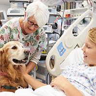 Vigilanza sull’impiego degli animali utilizzati nella pet therapy