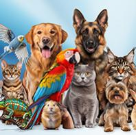 Animali d'affezione e igiene urbana